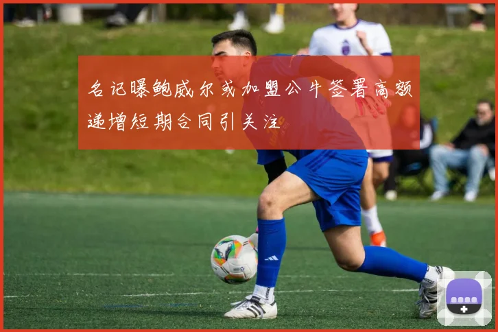 名记曝鲍威尔或加盟公牛签署高额递增短期合同引关注